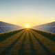 Photovoltaik-Freiflächenanlage im Abendlicht — Bankfähigkeit von PPA-Verträgen in der Projektfinanzierung